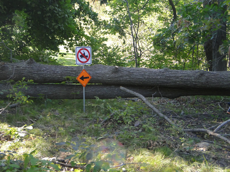 /pictures/Trail Clean Up 2018/DSC06580.jpg